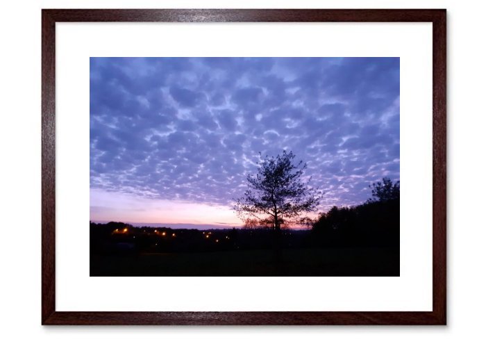 Twilight Framed Print